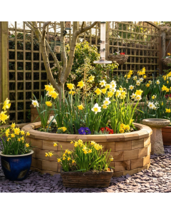 Jardinière bois ronde - Basse / 123 x 35 cm