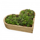 Heart Shaped Flower Bed / 2.115 x 1.5 x 0.45m