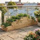 Jardinière en escalier pour fraisiers / 3 x 0,75 m x 0,65 m