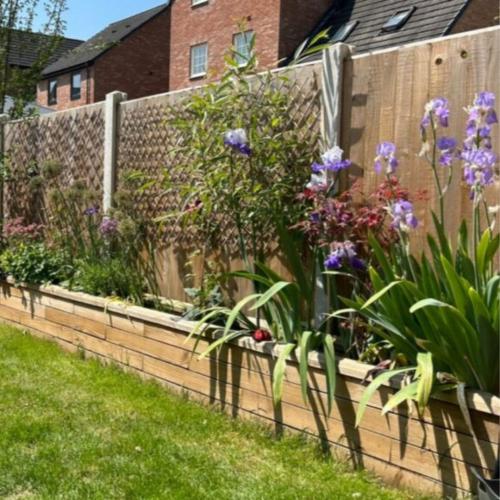 Le jardin de Beth en bacs