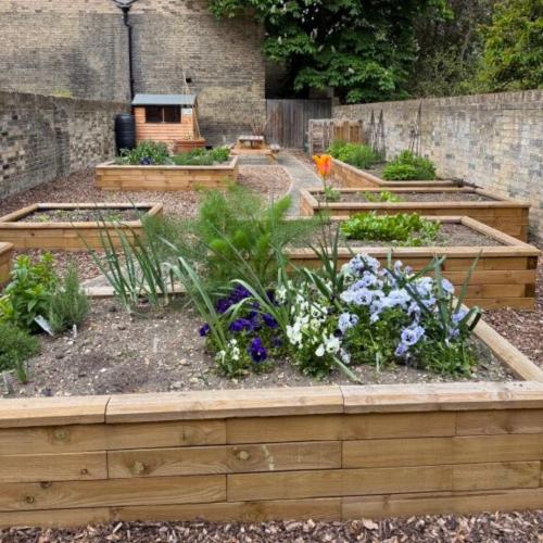 Projet de jardin associatif Emmanuel College de Cambridge