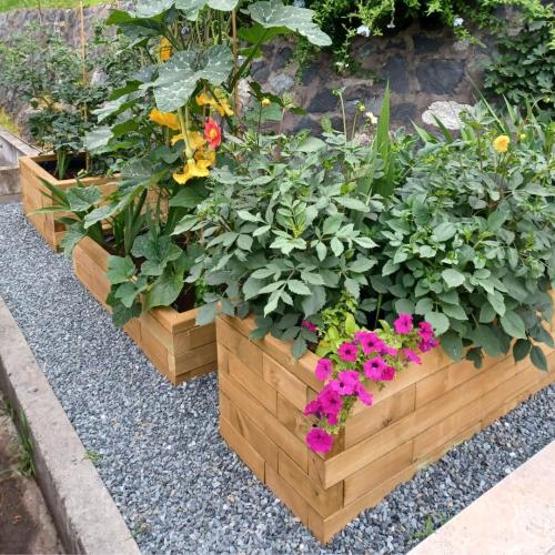 Le mini potager de Marina