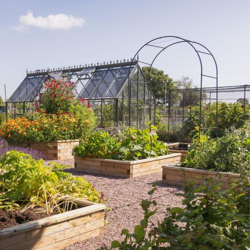 Le potager de Steve