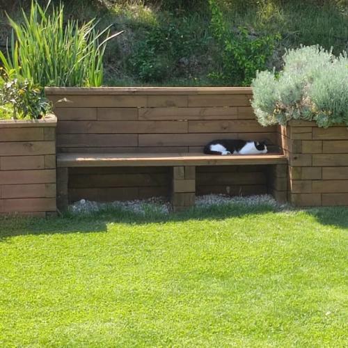 Le Mur De Soutenement De Mathieu