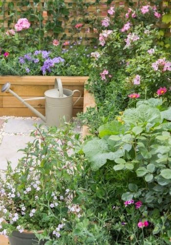 WoodBlocX-RAISED-BED-91-1024x683 WoodBlocX-RAISED-BED-91-1024x683