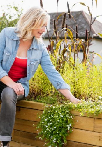 WoodBlocX-RAISED-BED-312-1024x683 WoodBlocX-RAISED-BED-312-1024x683