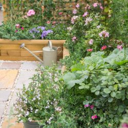 WoodBlocX-RAISED-BED-91-1024x683 WoodBlocX-RAISED-BED-91-1024x683