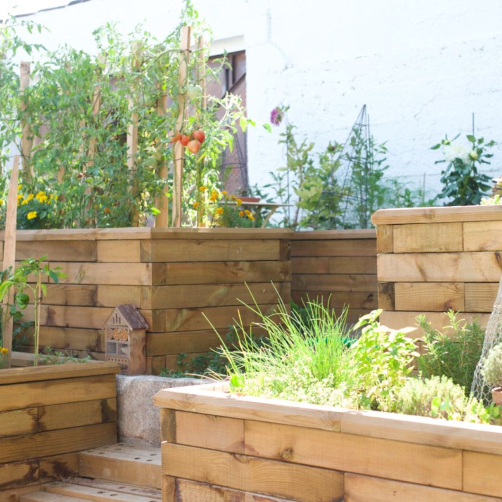 Le jardin potager de Magali