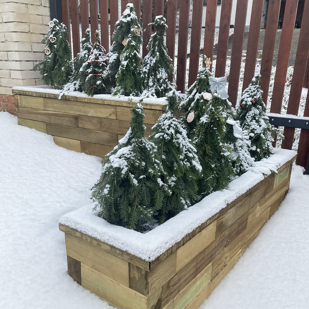 Si les jours sont plus courts et la météo plus froide, le mois de janvier est toutefois l’occasion idéale de planifier, préparer et soigner votre jardin.